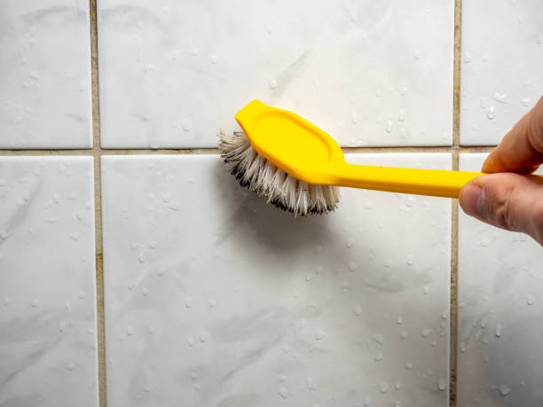 Best Mold Removal and Inspection  in Warrior, AL