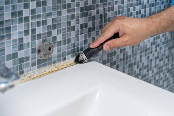 Best Mold Damage Repair  in Warrior, AL